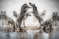 10 Zebras Etosha