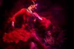 04 Flamenco
