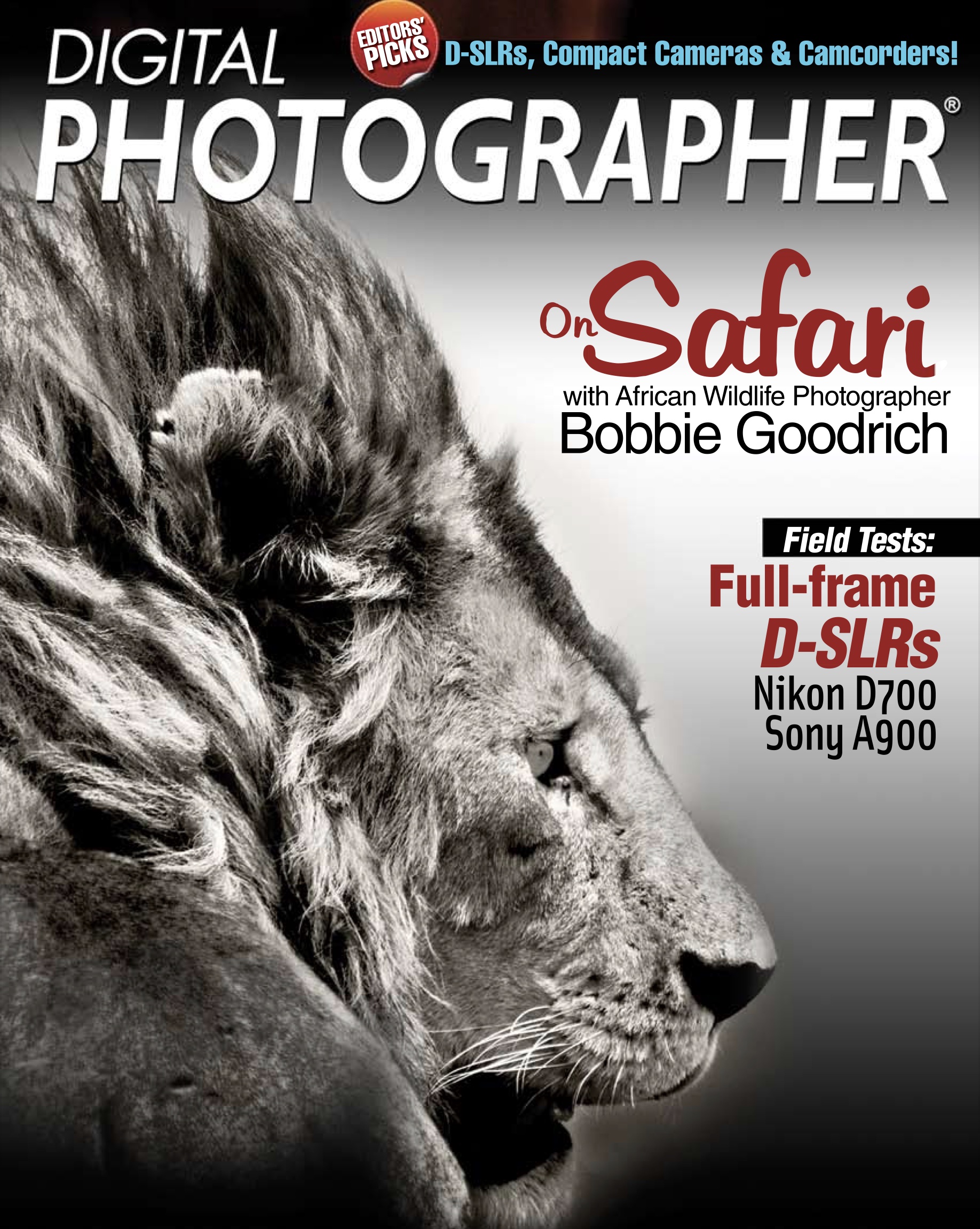 On Safari with African Wildlife photographer Bobbie Goodrich