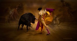 BULL-&-MATADOR.jpg