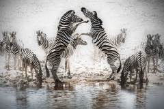 ETOSHA NATL PK - Africa