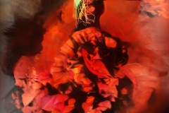 24x30 RED FLAMENCO EMI