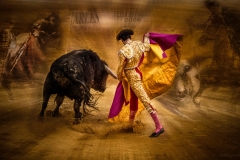 Matadore Gold