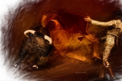 Matadore Bull Ring