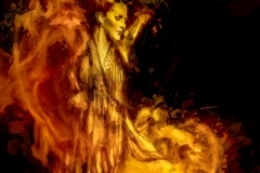 Flamenco Flame