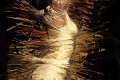 Flamenco Gold 2