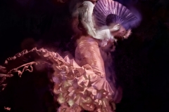 Flamenco with Fan