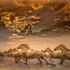 SEA & SKY