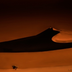 01 Sossusvlei