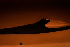 01 Sossusvlei