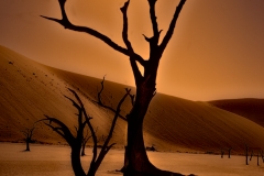 SOUSSVLEI