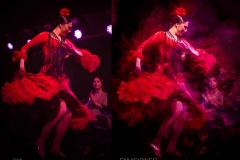 Flamenco
