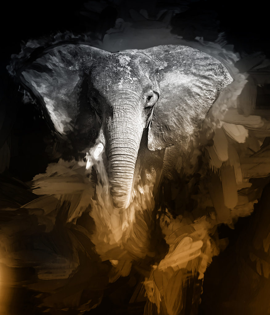 07-Elephant-Portrait-876x1024.jpg